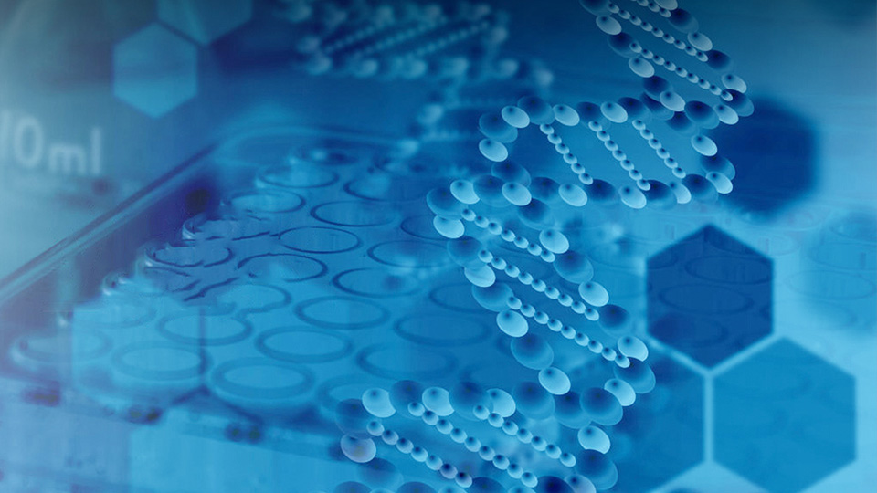 轉(zhuǎn)錄組測序